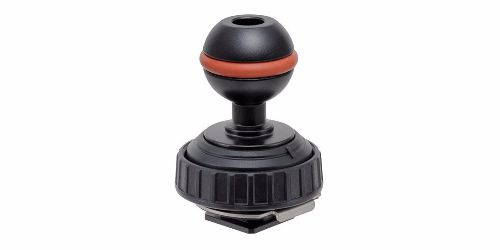 Shoe Base BALL