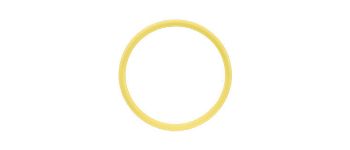 O-ring for Port/Extension Ring