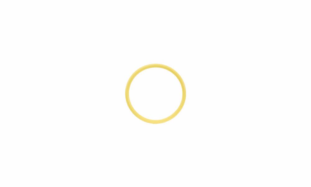 O-ring for M86 Port