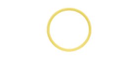O-ring for M86 Port