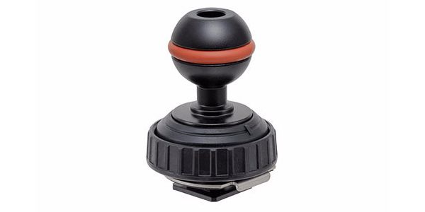 Shoe Base BALL