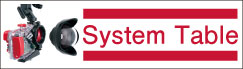 System Table