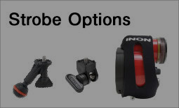 Strobe Options