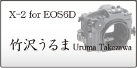 X-2 for EOS6D Uruma Takezawa