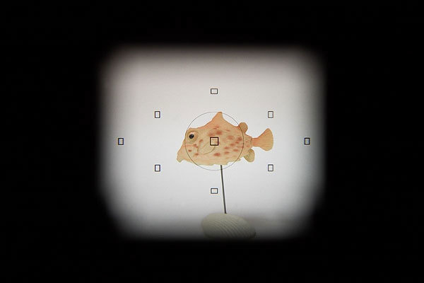 Image of using the finder window