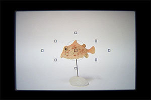 Image of using a straight (45°) viewfinder