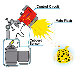 The onboard sensor meters strobe light in real time and ceases firing when appropriate exposure has been obtained.