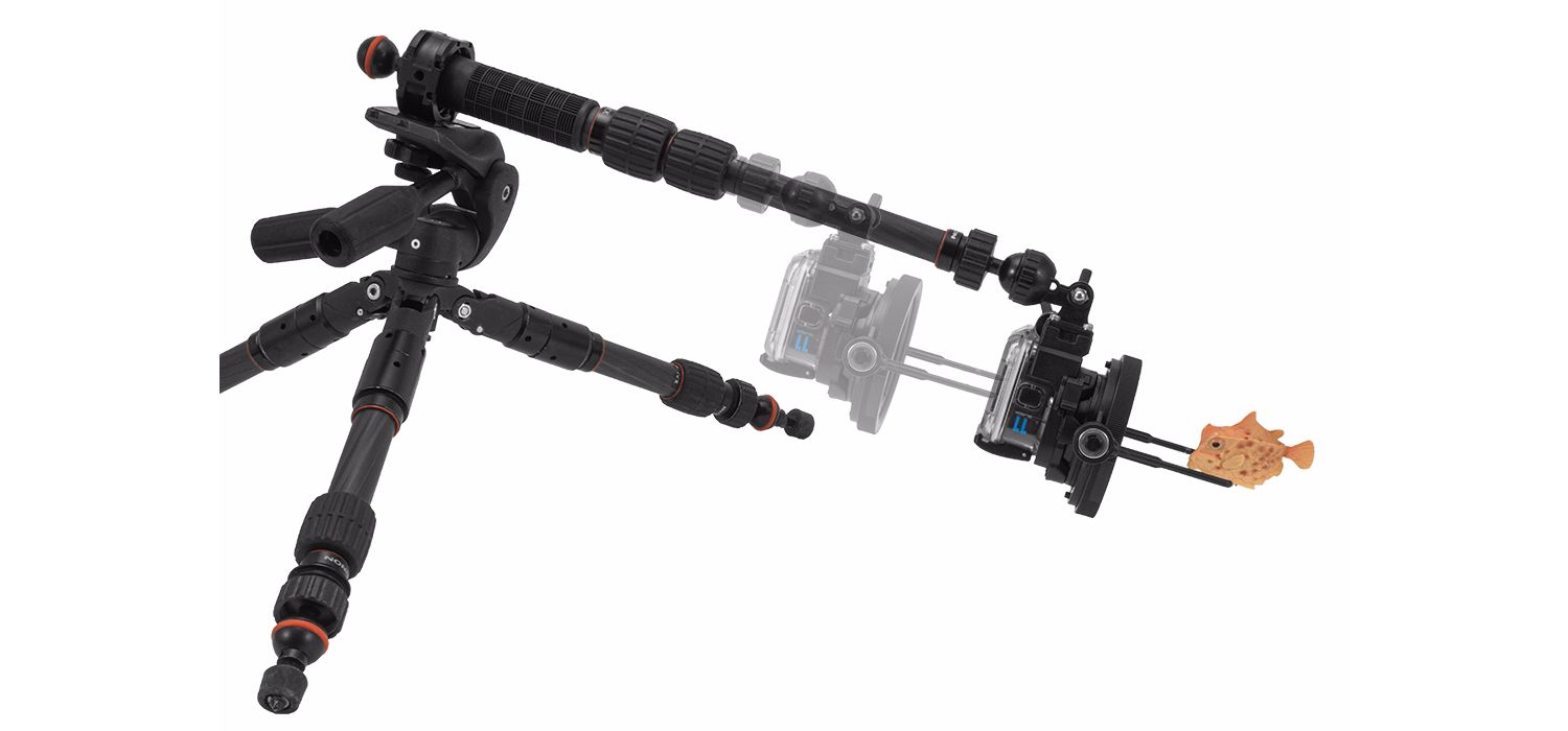 Expansion adapter connected to tripod system